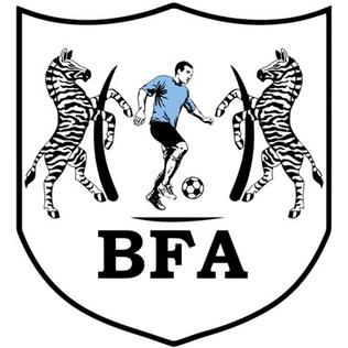 BFA Logo